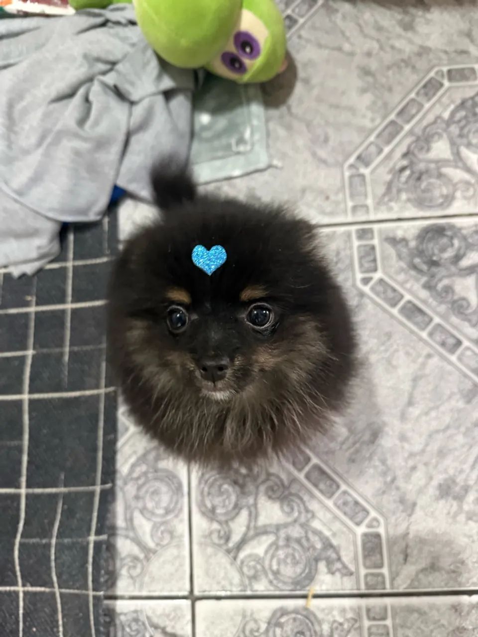 Lulu  - Foto 2