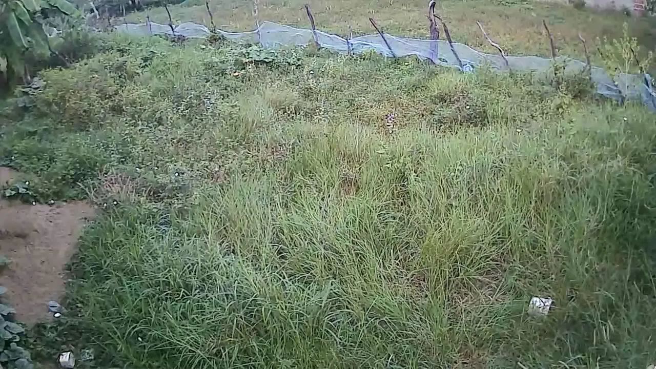 Terreno 9,5x40 em Rua Asfaltada - Ótima Oportunidade - Foto 2