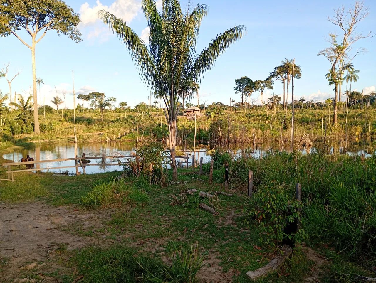 Vendo esta terra - Foto 4