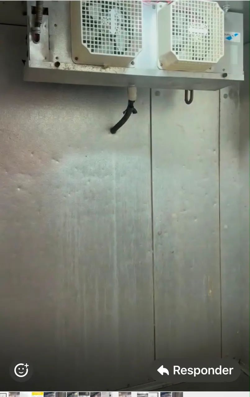 Desapego de 2 câmaras conjugadas São Rafael  - Foto 2
