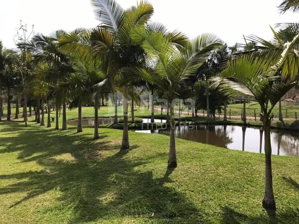Sítio à venda em Camboriú/SC - Foto 2