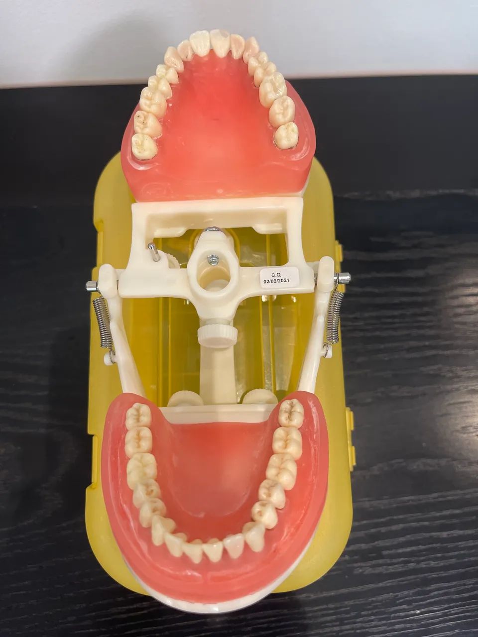 Manequim odontológico de Dentista PD 100 Pronew - Foto 3