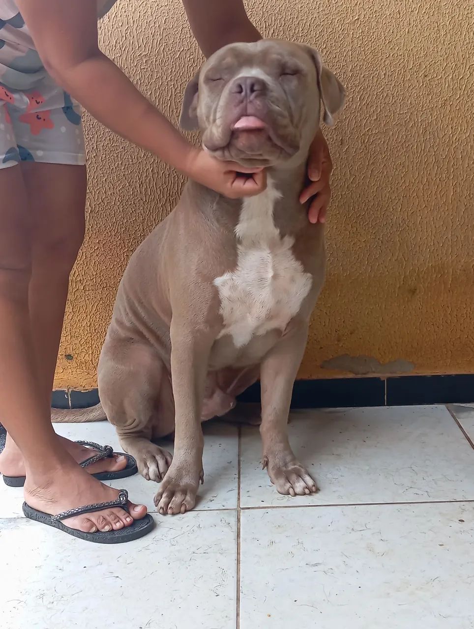 Vende-se  - Foto 2