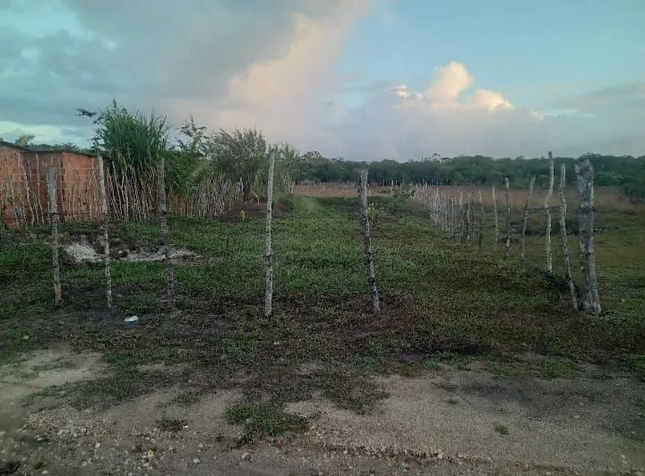 Vende-se terreno em PACATUBA-SE  - Foto 2