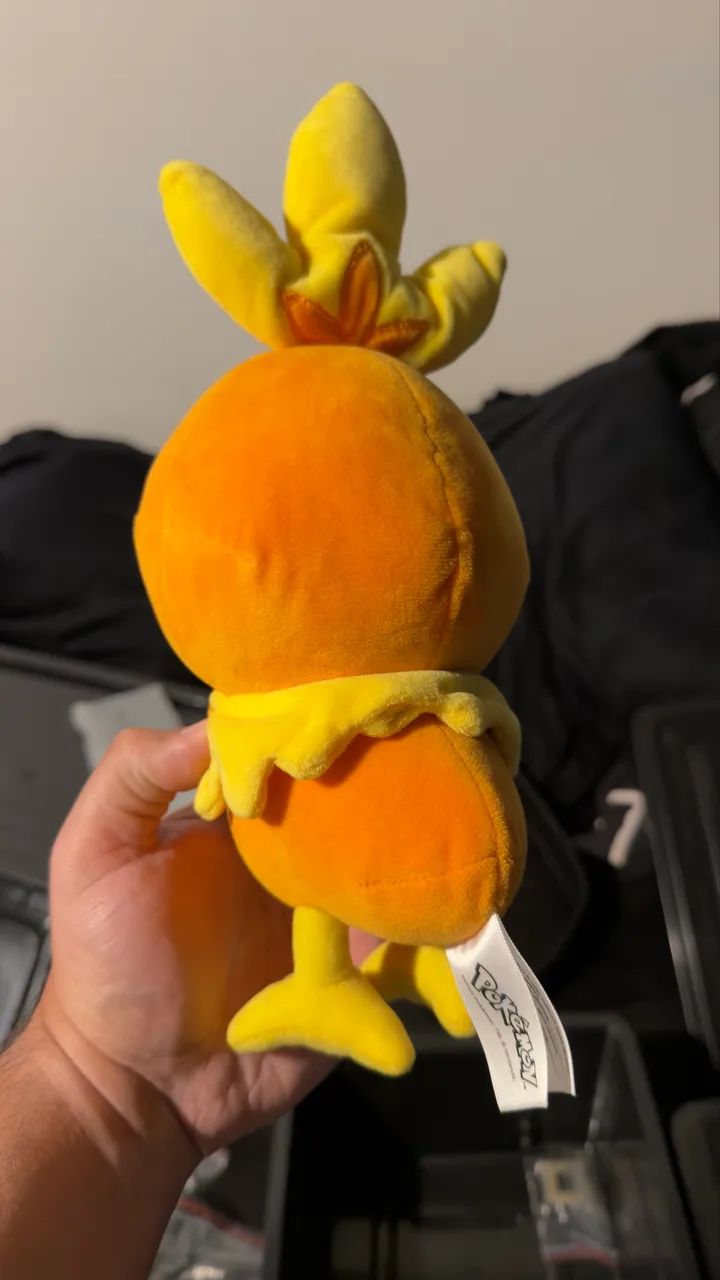 Boneco de pelúcia Pokémon Torchic 28cm - Foto 2