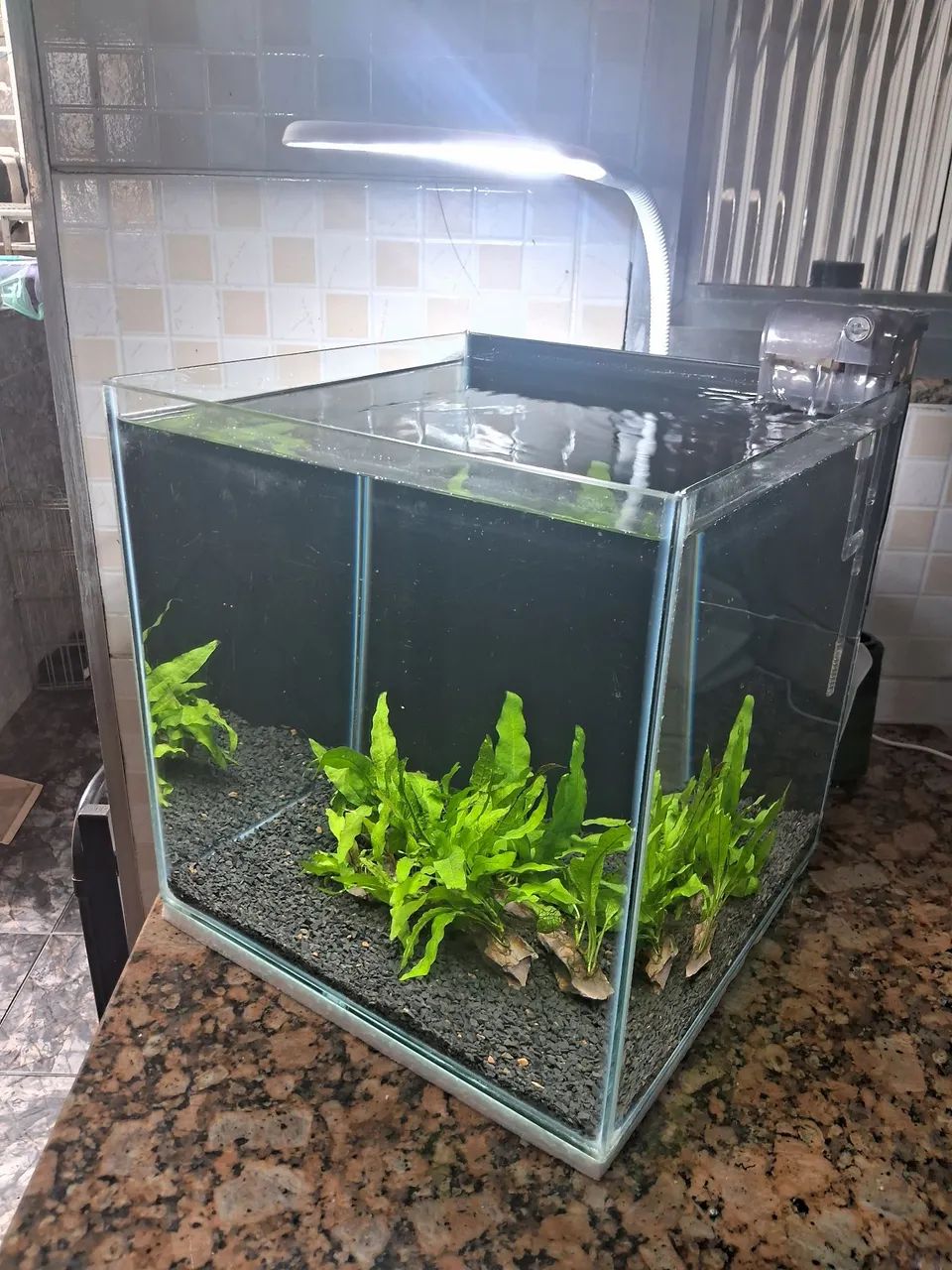 Vendo aquário cubo de 27 litros completo - Foto 2