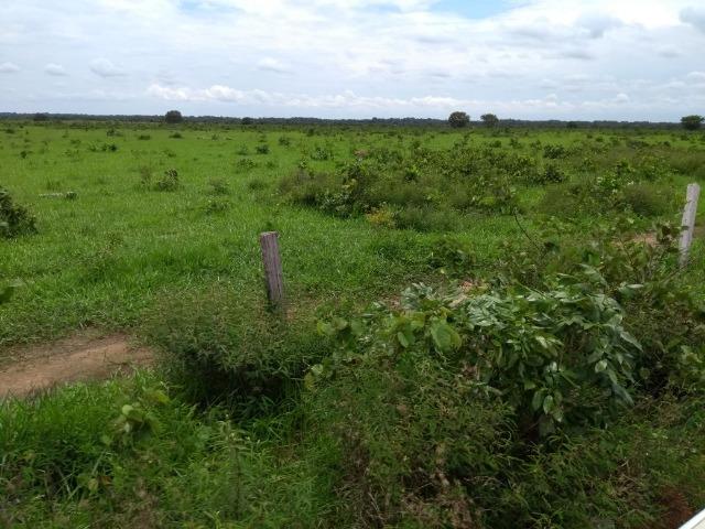 Fazenda 9.900 ha São Felix Do Araguaia - Foto 13