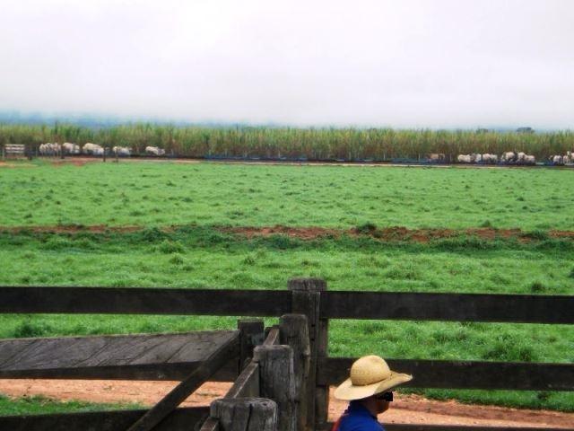 Fazenda 21.100 ha Diamantino MT - Foto 2