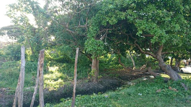 Terreno Praia de porto Mirim - Foto 6