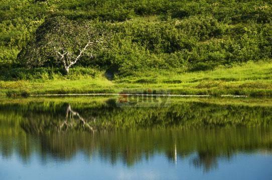 Terreno à venda, 803 m² por r$ 63.000 - lagoa do mato - macaíba/rn - Foto 13