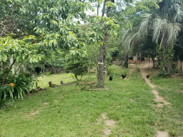 Sitio - Foto 3