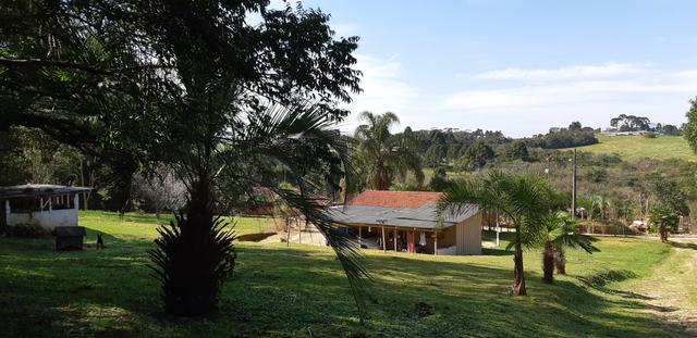 Vendo ou Troco Chácara em Contenda - 3.600 m2 - Foto 10
