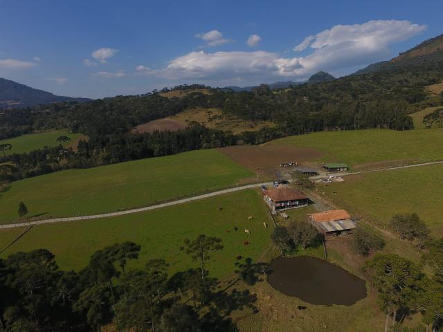 Sítio em Urubici/área rural /casa em Urubici - Foto 4