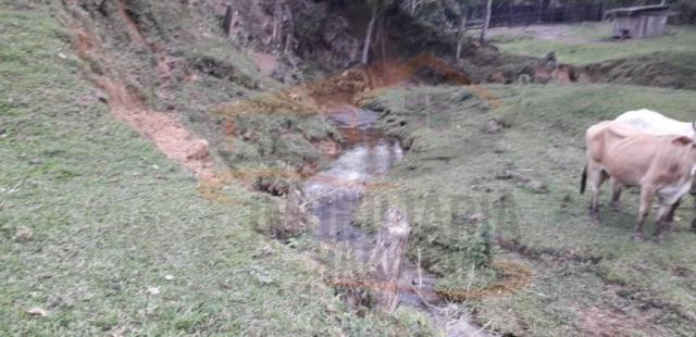 Chácara para venda, barra da cruz - Foto 9