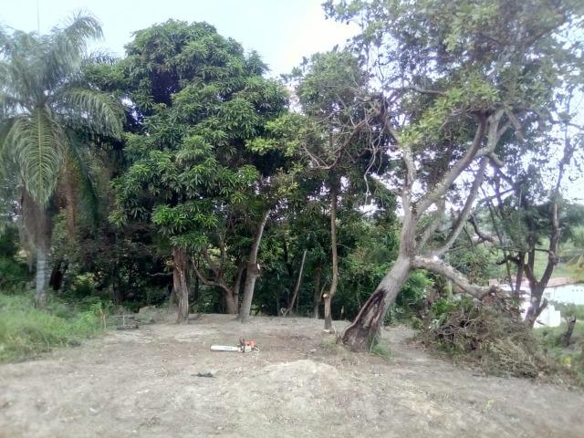 Terreno no pontal da ilha - Foto 2