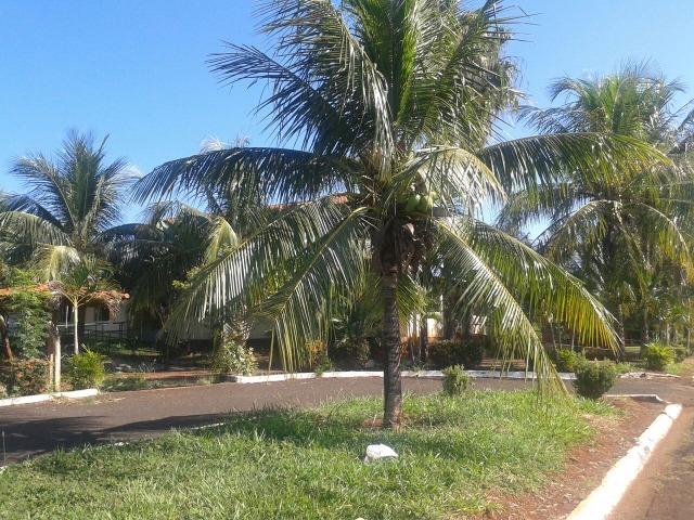 Casa de Veraneio em Planura (MG) - Rancho - Foto 16