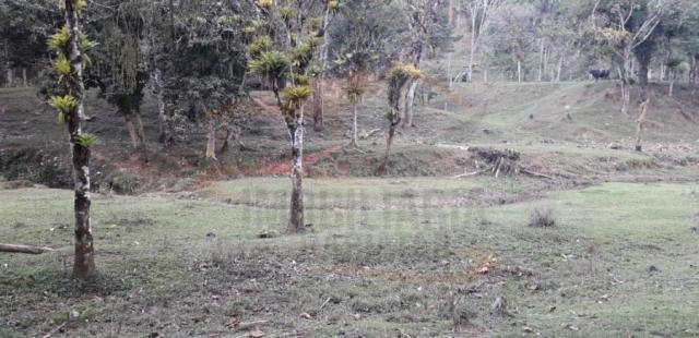 Chácara para venda, barra da cruz - Foto 3