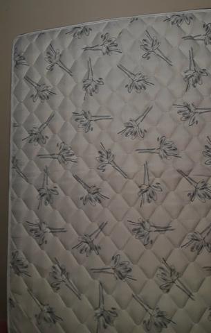 Cama