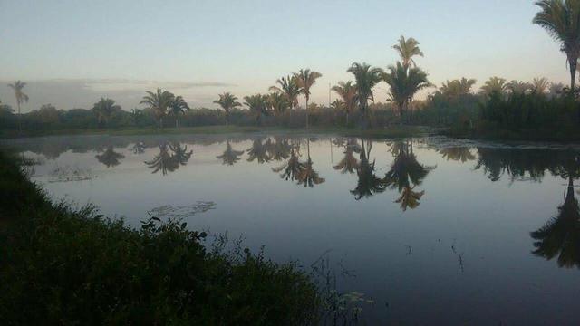 Fazenda Miranda - Foto 3