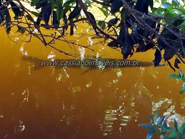 Sitio 43 alqueires á venda em Biritiba Mirim! - Foto 12
