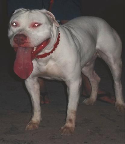 Ha procura de uma namorada - Foto 3