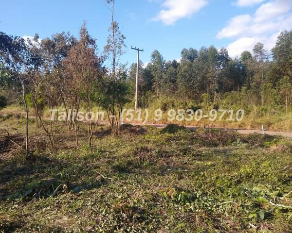 Compre sua chácara de 1.000 m2 antes que acabe - Foto 3