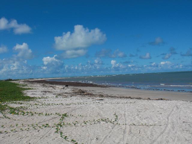Preço incrivel, na Barra S. Antonio, 100 mt da praia - Foto 6