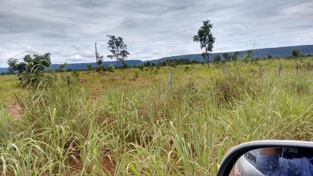 Vendo Fazenda com 1.523 Hectares na região do Manso - Foto 3
