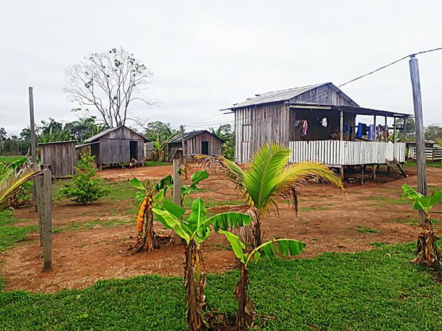 Chácara no mutum - Foto 3