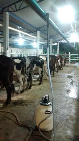 Venda-se ou troco está propriedade de 8.7 alqueires Município cachoeiro Itapemirim/ES - Foto 9