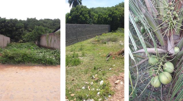 Terreno 8 x 30 ? Barra de Santo Antônio - Ilha da Croa ? Em Rua Pavimentada ? Oportunidade - Foto 4