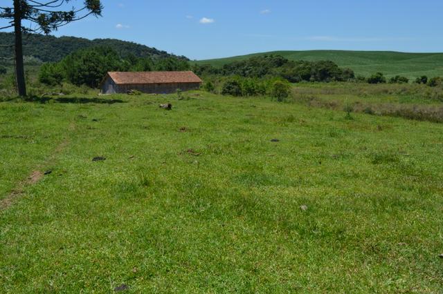 Oportunidade Produtor Rural Terreno em Bela Vista do Toldo - Foto 8