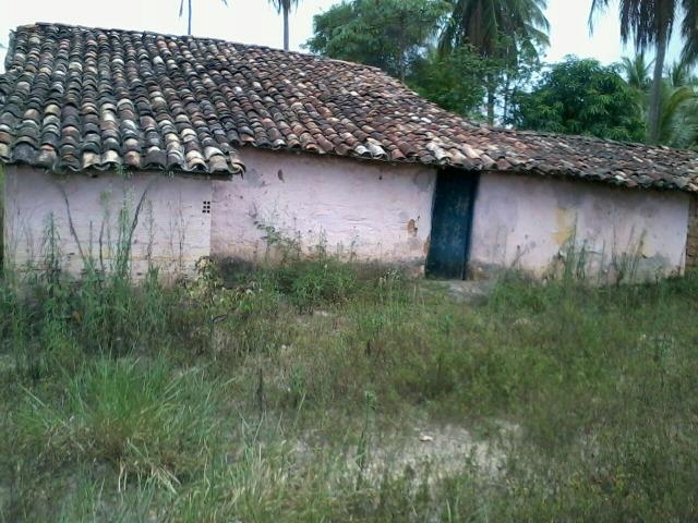 Sítio - Foto 5
