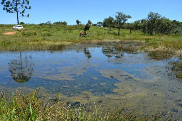Oportunidade Produtor Rural Terreno em Bela Vista do Toldo - Foto 4