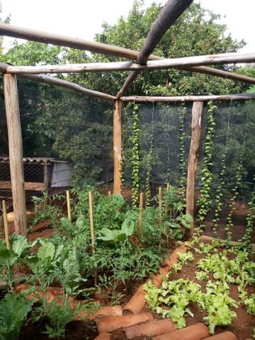 Sitio com agua em Claudio MG - Foto 5