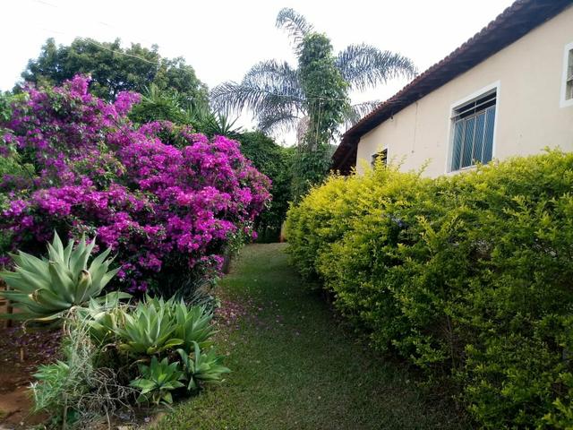 Sitio com agua em Claudio MG - Foto 11