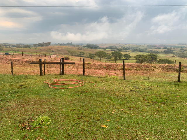 14 alqueires ( Bernardes ) - Foto 4