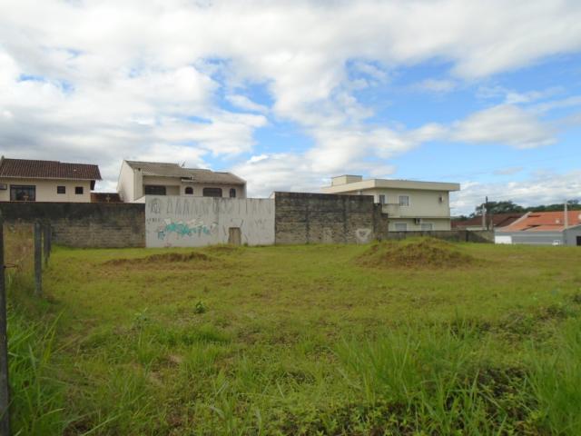 Terreno para alugar em Santa catarina, Joinville cod:08122.002 - Foto 7