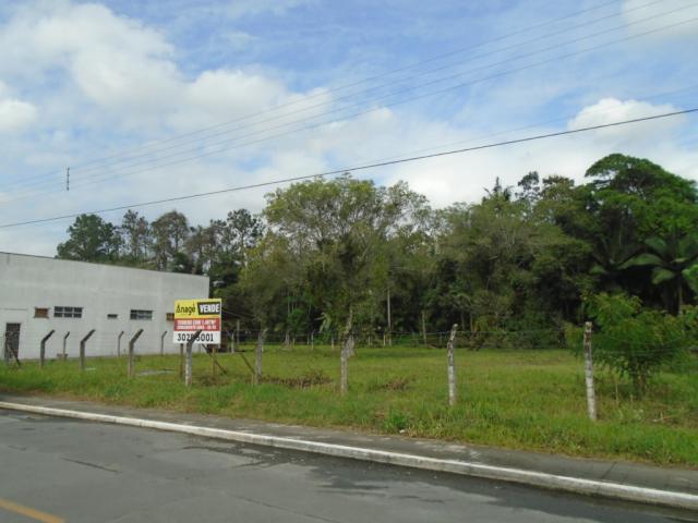 Terreno para alugar em Pirabeiraba, Joinville cod:00444.009