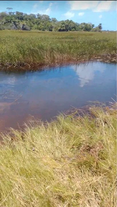 Sítio (litoral norte) 8600/mts2 Arembepe pé Rio