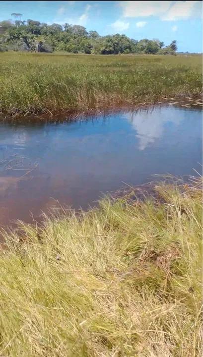 Sítio (litoral norte) 8600/mts2 Arembepe pé Rio
