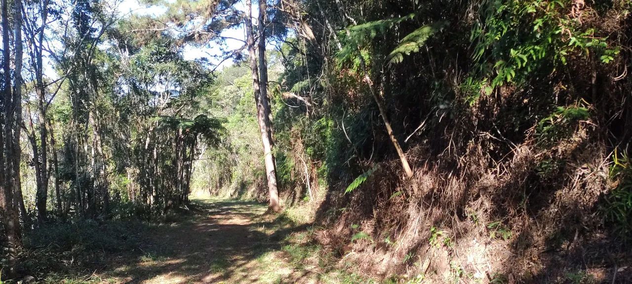 Lindos 20 mil mts izolado próximo asfalto 93 mil reais  - Foto 4