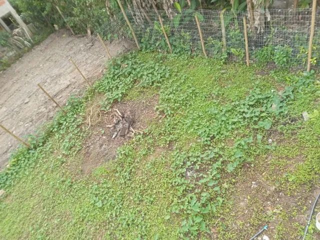 Camburi Terreno com Matrícula - Foto 2