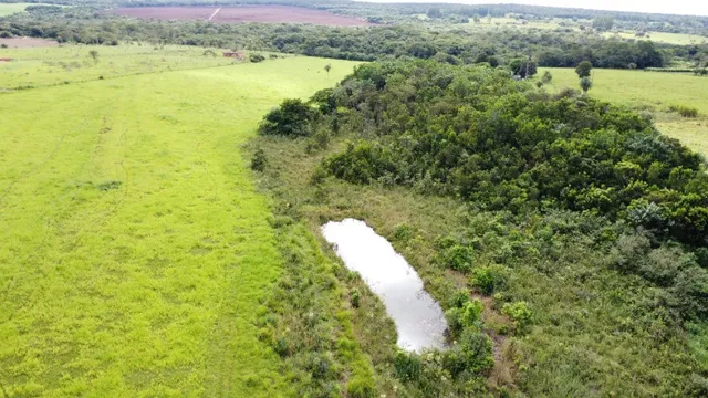 Chácara 9,5 hectares, rica em água, apenas 1,4 km de estrada de chão. Campo Grande MS!