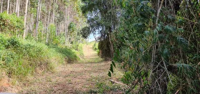 Excelente terreno em Piedade - Foto 12