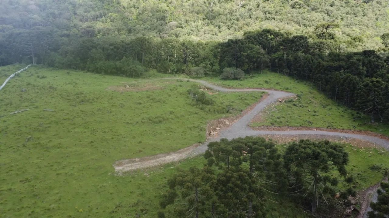 Sítio com cachoeira paradisíaca! - Foto 14
