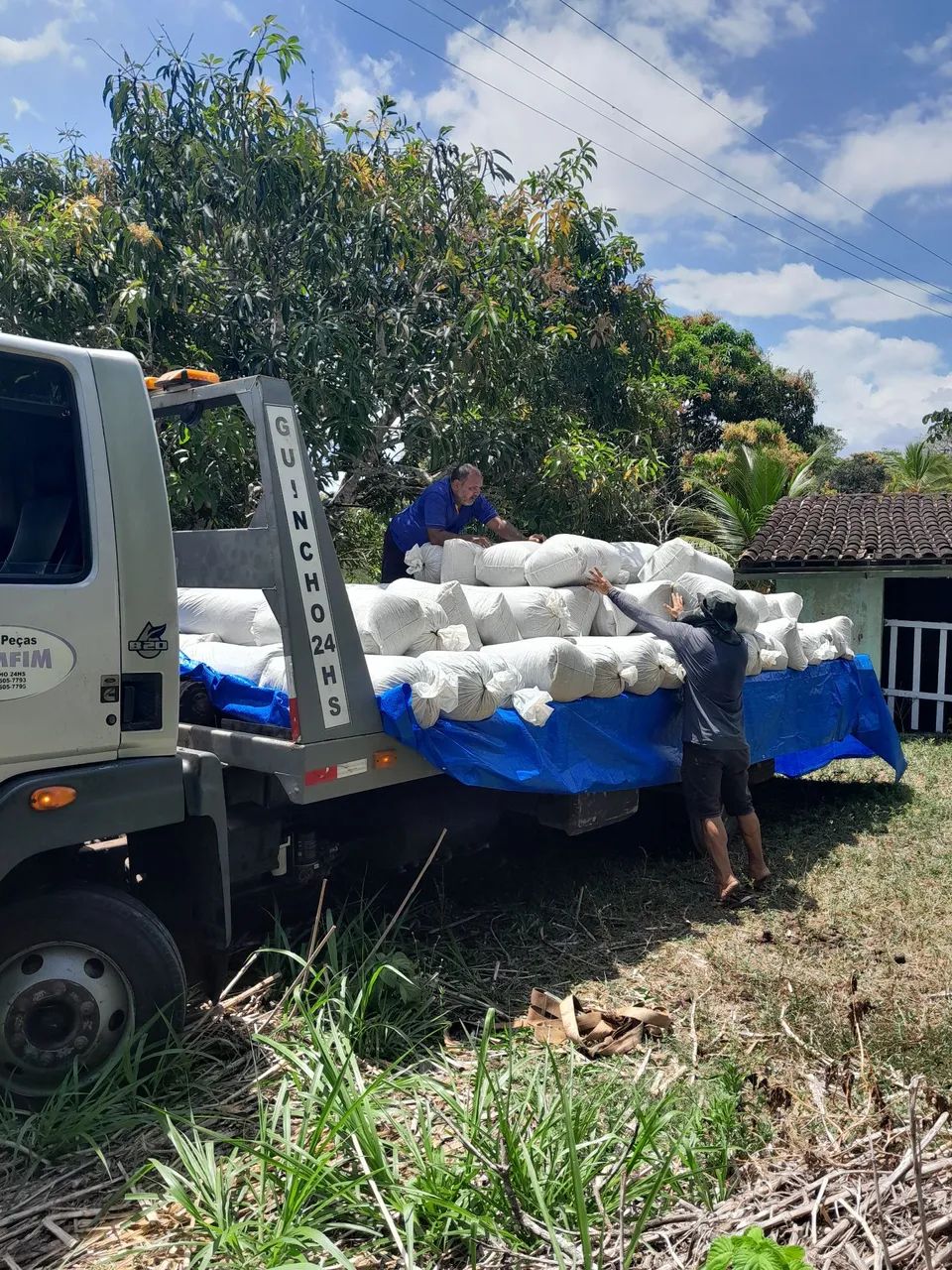VENDO SILO BRS CAPIAÇU SILAGEM DE QUALIDADE 