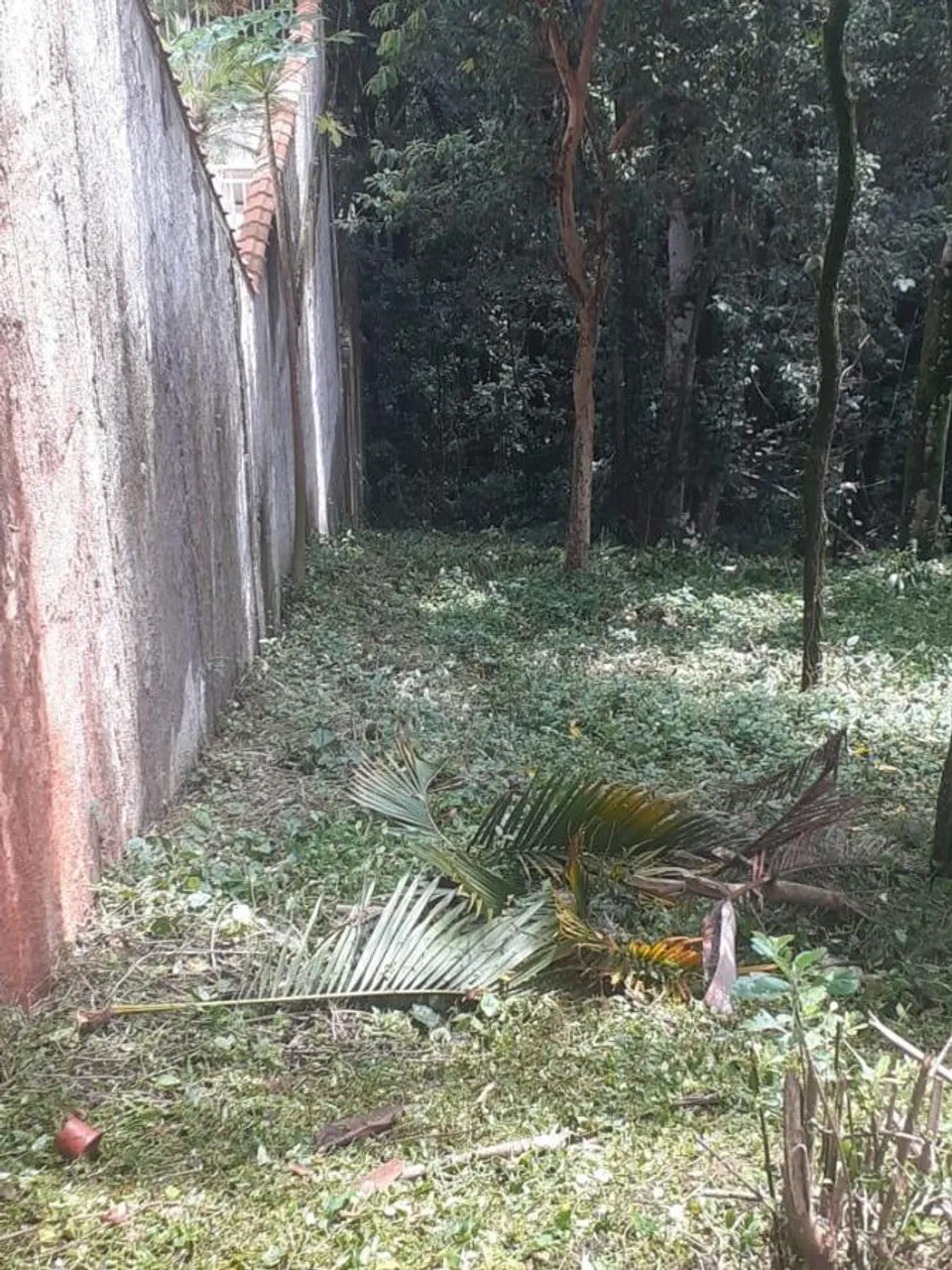 Terreno em Condomínio para Venda em Santana de Parnaíba, Tarumã