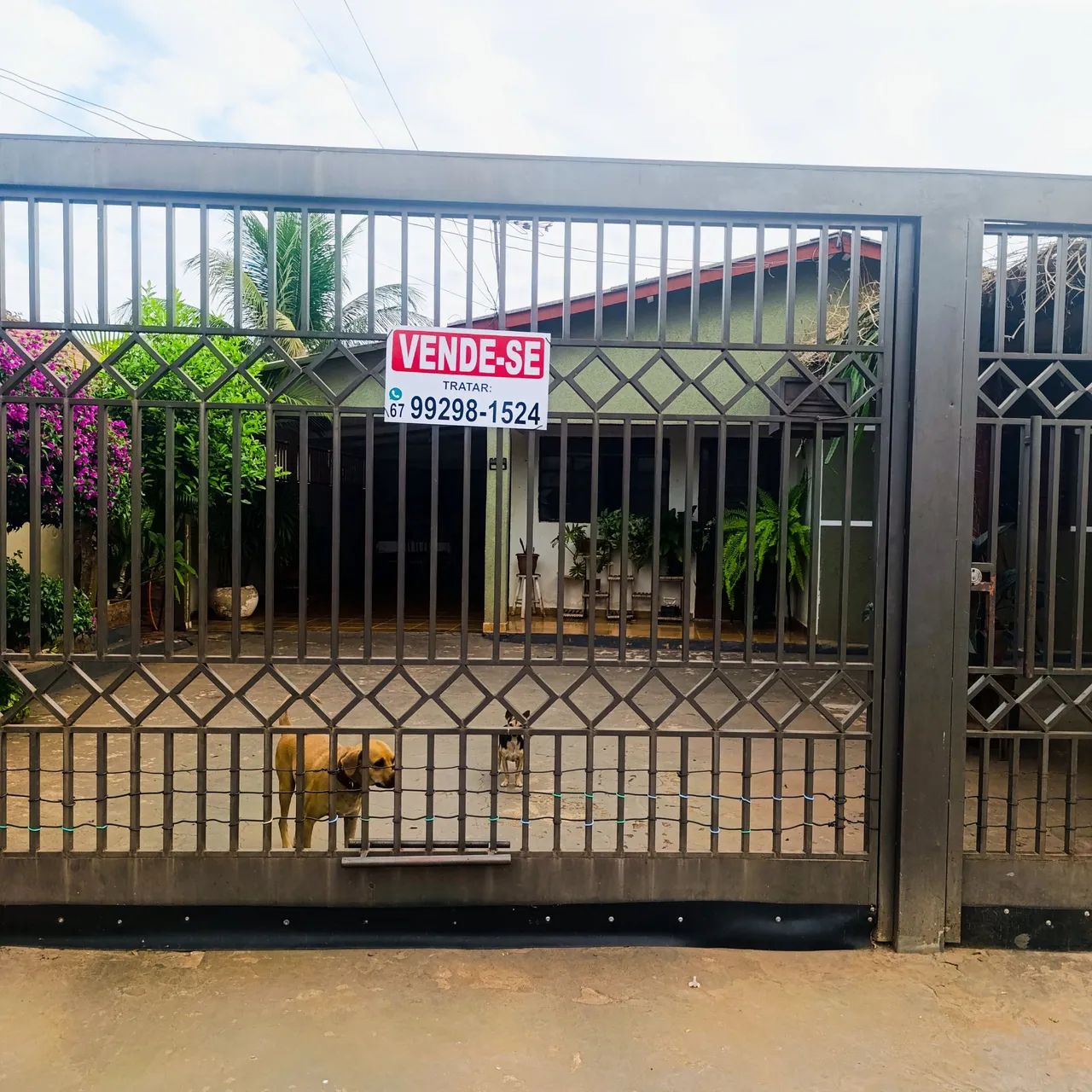 Foto - Campo Grande - Pioneiros