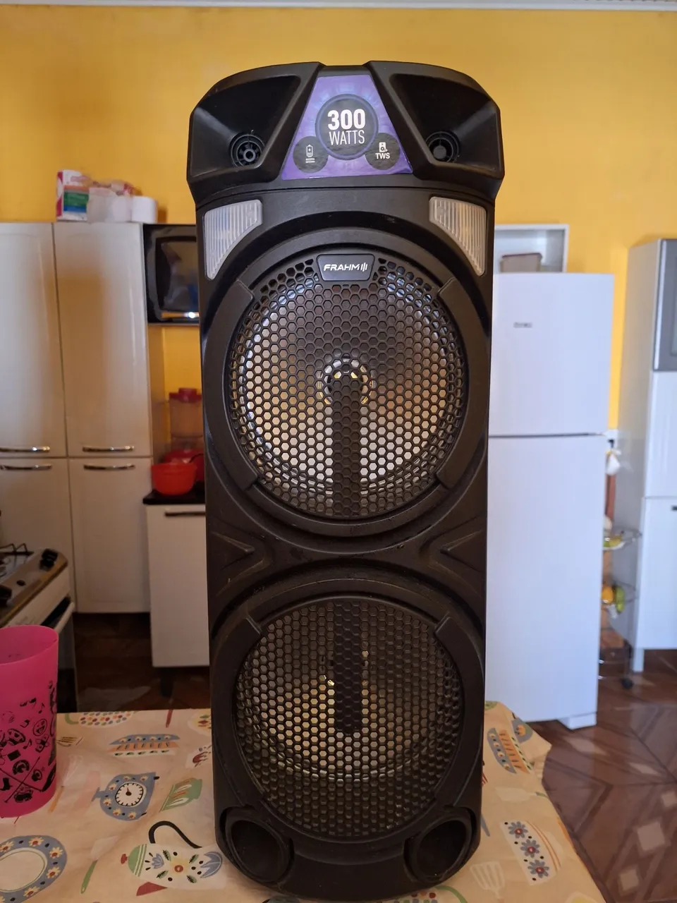 Caixa de Som Frahm 300 Watts